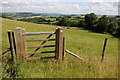 Footpath gate near Bryn-garth