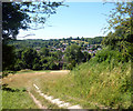 Looking Down on Whyteleafe