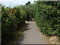 Footpath, Churchfields