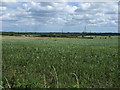 Farmland, East House Farm