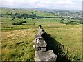 Grassland Divide By Dry Stone Walls