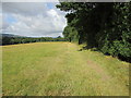 Footpath with a view