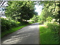 Hill road passing Bowland Estate