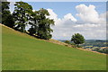 Farmland and trees near Bryn-garth