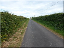 SR9399 : Corston Farm lane by David Medcalf