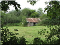 Shed in field near Mile Drive