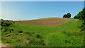 Foot of Bredon Hill, 2