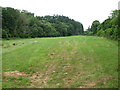 A field beside the track to Bleng Bridge