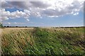 Drainage Dike on Fringringhoe Ranges