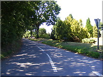 TM3491 : Tunneys Lane, Ditchingham by Geographer