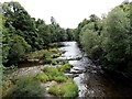 River Severn south of the footbridge to Dolerw Park, Newtown