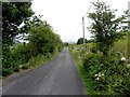H0526 : Road at Tullynacleigh by Kenneth  Allen