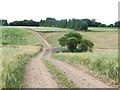 Fields near Detling Aerodrome