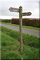 NY5464 : Hadrian's Wall Path sign near Garthside by Dave Dunford