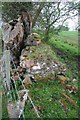 NY5464 : Hadrian's Wall unrestored by Dave Dunford