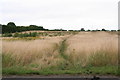 Well trodden path on the road from East Lound