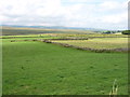 Country south of Shap