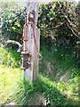 Henllan Amgoed Chapel - old pump