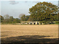 Mediaeval bridge across the River Anker south of Grendon Park