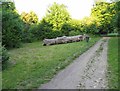 Footpath through Purley Beeches