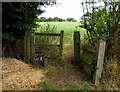 TQ6691 : Footpath to Little Burstead by Andrew Tatlow