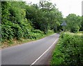 Botney Hill Road eastwards