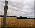 Footpath to Little Burstead