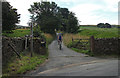 Pennine Bridleway Lane Side