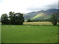 Fields by the River Derwent