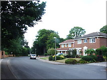 TQ7963 : Lambsfrith Grove, Hempstead by Chris Whippet