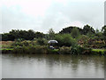 Fryston Grange Fishing Pond