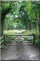 Woodland entrance off Leatherhead Road