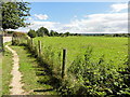 Footpath from Gooseberry Hill towards Sandleaze