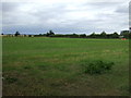 Farmland off Abbey Road, Bardney