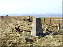 NY6444 : Summit of Black Fell by Tim Glover
