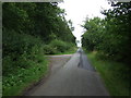 Lane heading north by The Gorse