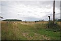 Towards Brazenhead Farm