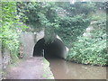 Southern end of Woodley Tunnel