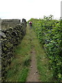 Narrow path into Holme