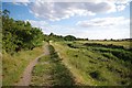 Fenn Creek Path