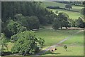 North Devon : Grassy Countryside