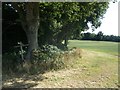 Footpath junction near Knowle Corner Wood