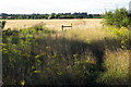 Footpath to Wootton