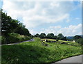 Taking a break, Oaks Lane, near Stocksbridge