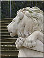 SK8932 : Lion's head by Alan Murray-Rust
