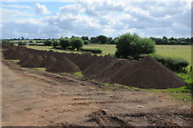 SO8933 : Topsoil near The Mythe by Philip Halling