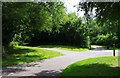 Footpath junction, Arrow Valley Country Park, Redditch