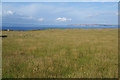 Wild grassland on the edge of Thurso