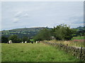 On Fair Edge Hill, near Heaton