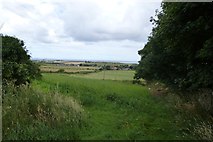 NU0639 : Farmland near Fenwick by DS Pugh